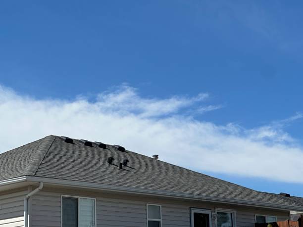 Best Roof Leak Repair  in Kent, WA
